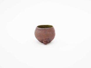 Walrus -ぐいのみ-